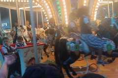 IMG-20250114-WA0139